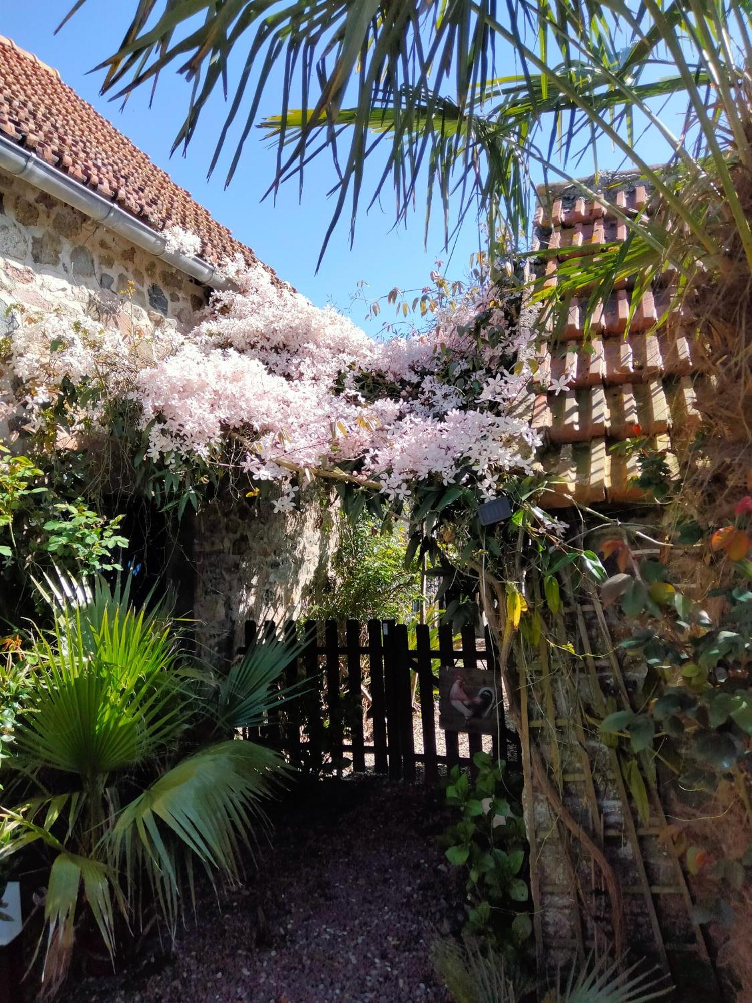 Appartamento Les Deux Moulins Saint-Alban  Esterno foto